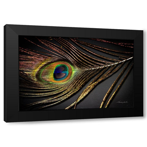 Peacock Feather II Black Modern Wood Framed Art Print with Double Matting by Hausenflock, Alan