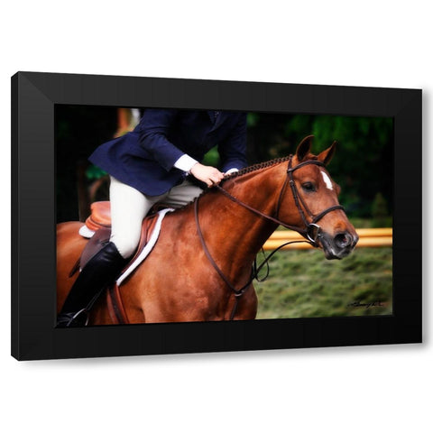 Dressage I Black Modern Wood Framed Art Print by Hausenflock, Alan