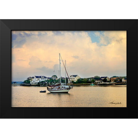 Mooring in Banks Channel Black Modern Wood Framed Art Print by Hausenflock, Alan