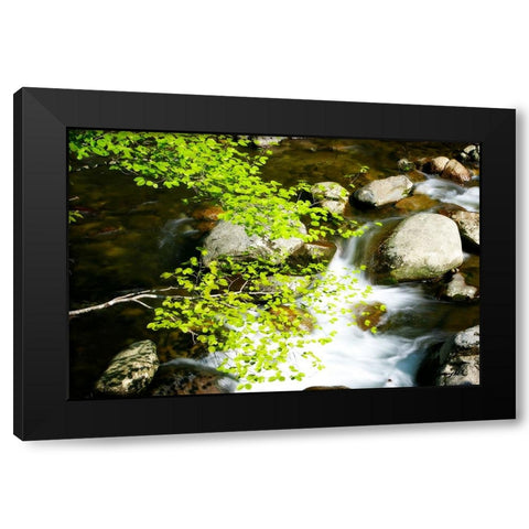 Crabtree Creek Black Modern Wood Framed Art Print with Double Matting by Hausenflock, Alan