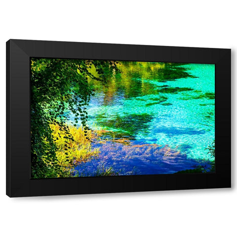 Rainbow River Black Modern Wood Framed Art Print with Double Matting by Hausenflock, Alan