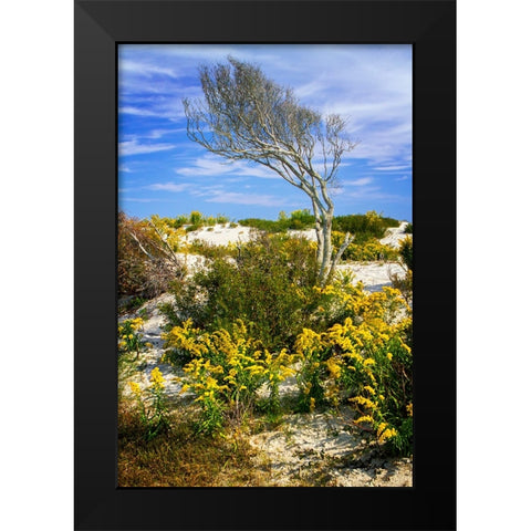 Beach Tree Black Modern Wood Framed Art Print by Hausenflock, Alan