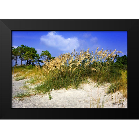 Cape Lookout Island Black Modern Wood Framed Art Print by Hausenflock, Alan