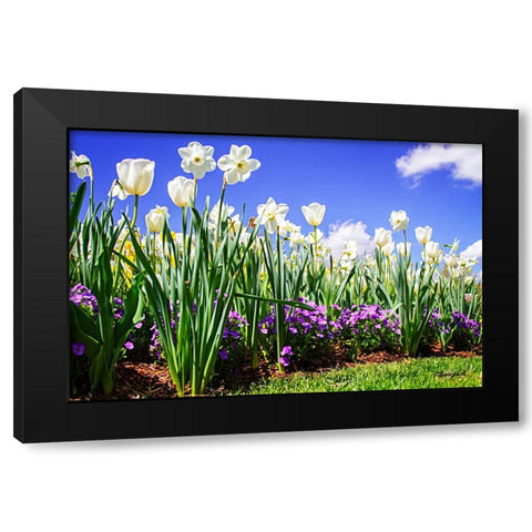 Flower Border I Black Modern Wood Framed Art Print with Double Matting by Hausenflock, Alan