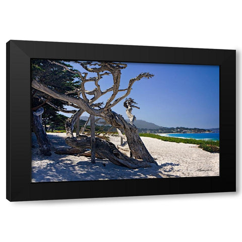 Carmel Beach Black Modern Wood Framed Art Print by Hausenflock, Alan