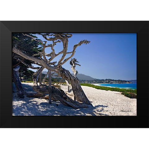 Carmel Beach Black Modern Wood Framed Art Print by Hausenflock, Alan