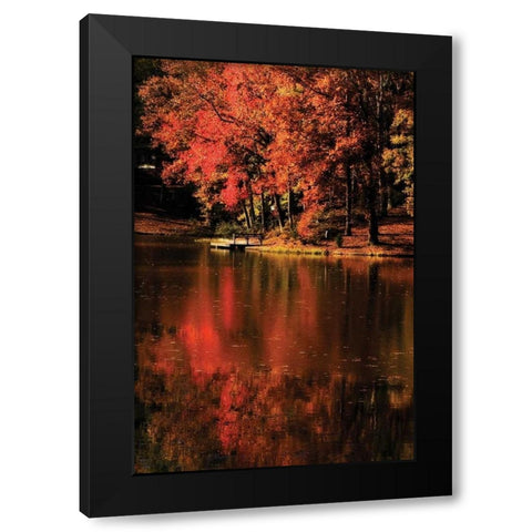 Red Reflections Black Modern Wood Framed Art Print by Hausenflock, Alan