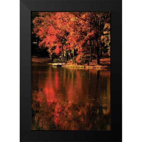 Red Reflections Black Modern Wood Framed Art Print by Hausenflock, Alan