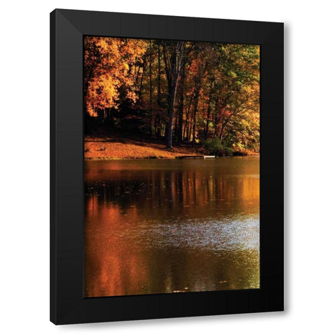 Gold Reflections Black Modern Wood Framed Art Print with Double Matting by Hausenflock, Alan