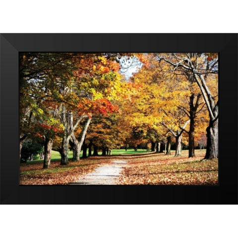 Maymont Maples I Black Modern Wood Framed Art Print by Hausenflock, Alan