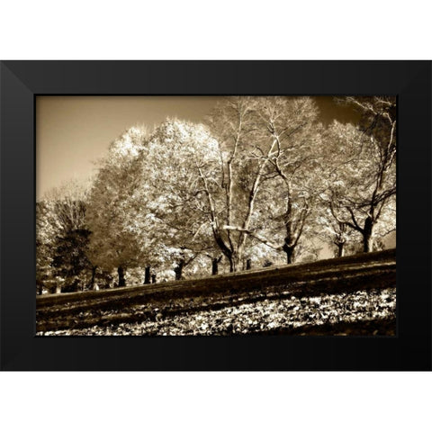 Falling Leaves Black Modern Wood Framed Art Print by Hausenflock, Alan