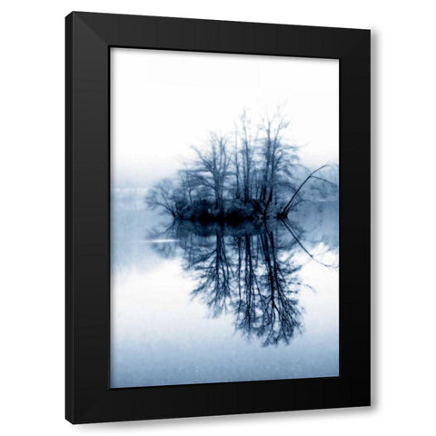 Fog on the Lake II Black Modern Wood Framed Art Print with Double Matting by Hausenflock, Alan