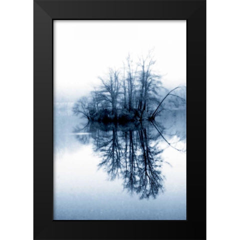 Fog on the Lake II Black Modern Wood Framed Art Print by Hausenflock, Alan