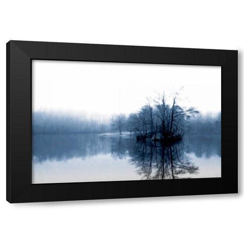 Fog on the Lake IV Black Modern Wood Framed Art Print by Hausenflock, Alan