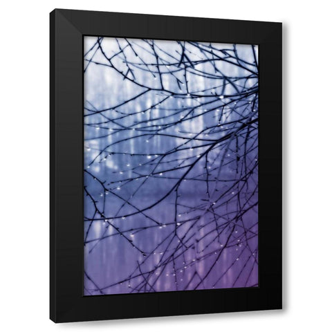 Droplets I Black Modern Wood Framed Art Print by Hausenflock, Alan