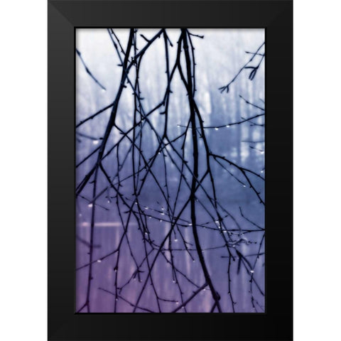 Droplets II Black Modern Wood Framed Art Print by Hausenflock, Alan