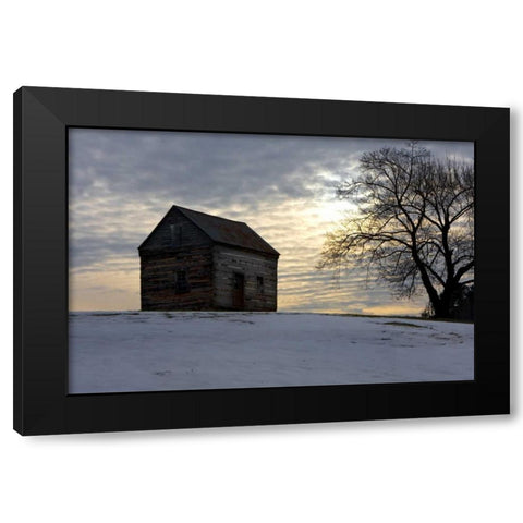 Winter Sky I Black Modern Wood Framed Art Print with Double Matting by Hausenflock, Alan
