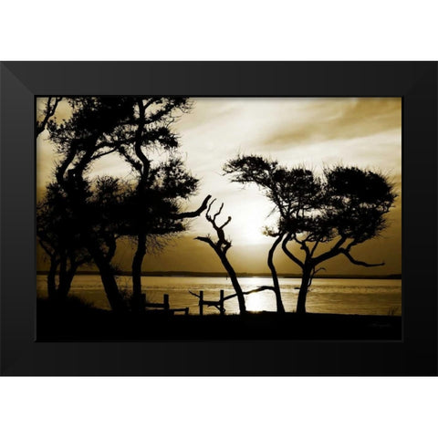 Blissful Shore I Black Modern Wood Framed Art Print by Hausenflock, Alan