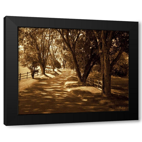 Summer Stroll I Black Modern Wood Framed Art Print with Double Matting by Hausenflock, Alan