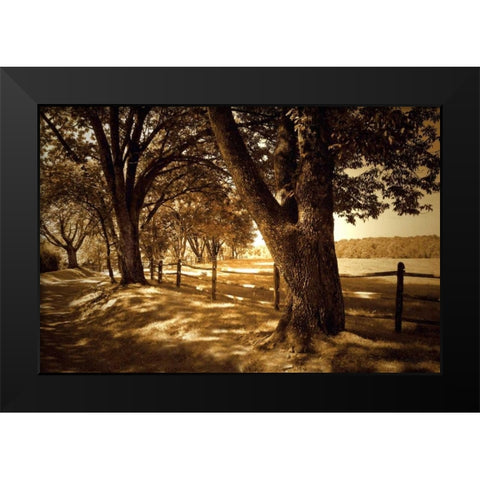 Summer Stroll II Black Modern Wood Framed Art Print by Hausenflock, Alan