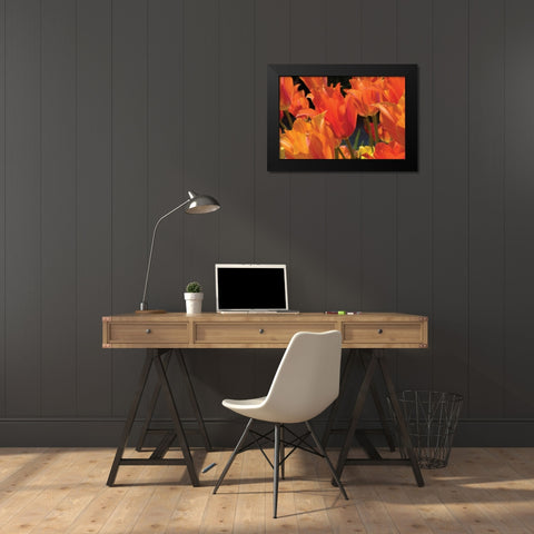 Tulip Field I Black Modern Wood Framed Art Print by Hausenflock, Alan
