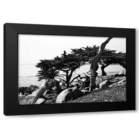 Ocean View II Black Modern Wood Framed Art Print with Double Matting by Hausenflock, Alan