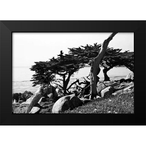 Ocean View II Black Modern Wood Framed Art Print by Hausenflock, Alan