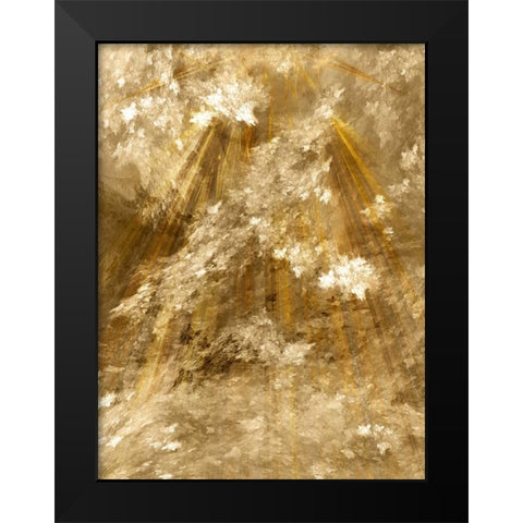 Fractal Light II Black Modern Wood Framed Art Print by Hausenflock, Alan