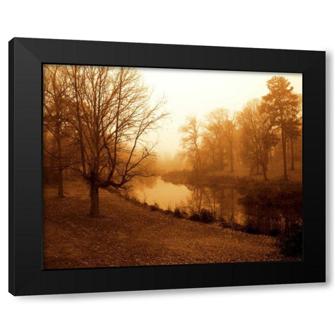 Peaceful II Black Modern Wood Framed Art Print with Double Matting by Hausenflock, Alan