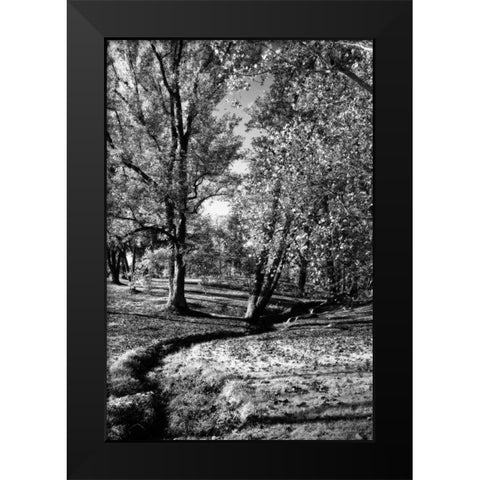 A Small Creek Black Modern Wood Framed Art Print by Hausenflock, Alan