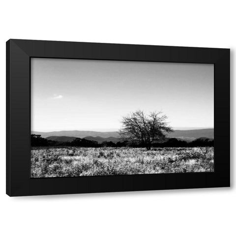 Big Meadow III Black Modern Wood Framed Art Print with Double Matting by Hausenflock, Alan