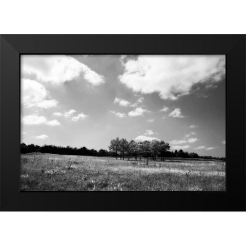 Tree Line II Black Modern Wood Framed Art Print by Hausenflock, Alan