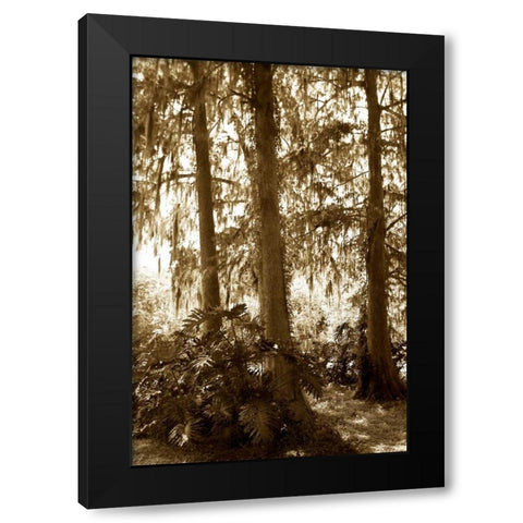 Tropical Garden I Black Modern Wood Framed Art Print by Hausenflock, Alan