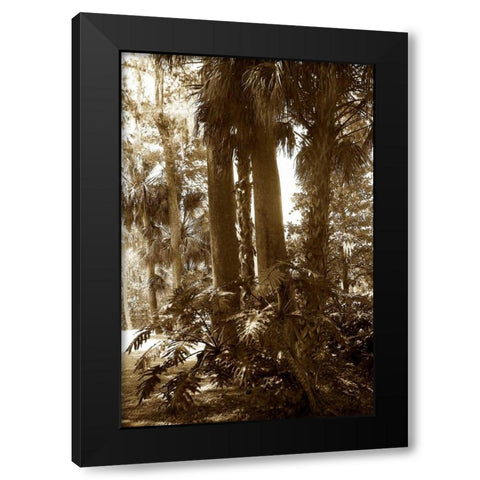Tropical Garden II Black Modern Wood Framed Art Print with Double Matting by Hausenflock, Alan