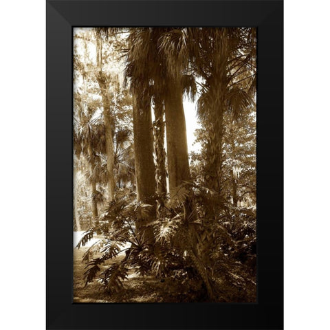 Tropical Garden II Black Modern Wood Framed Art Print by Hausenflock, Alan