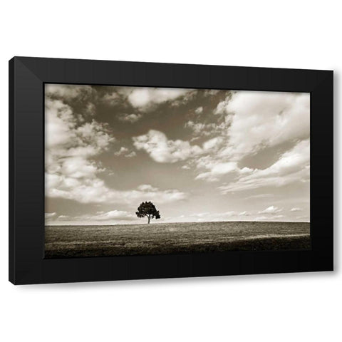 Cloudy Skies III Black Modern Wood Framed Art Print with Double Matting by Hausenflock, Alan