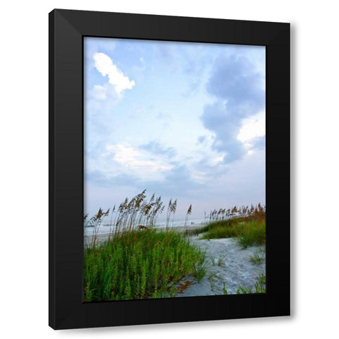 Early Morning in the Dunes V Black Modern Wood Framed Art Print by Hausenflock, Alan