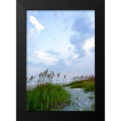 Early Morning in the Dunes V Black Modern Wood Framed Art Print by Hausenflock, Alan