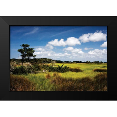 Marshland I Black Modern Wood Framed Art Print by Hausenflock, Alan