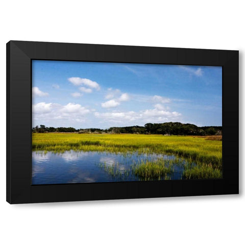 Marshland II Black Modern Wood Framed Art Print by Hausenflock, Alan