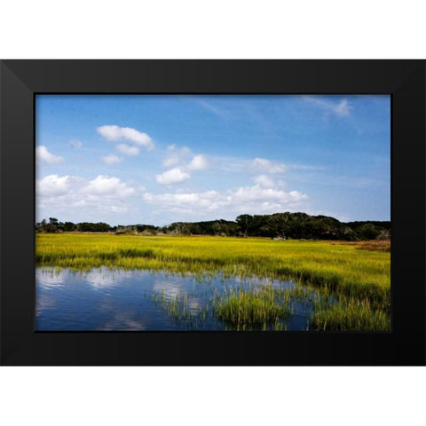 Marshland II Black Modern Wood Framed Art Print by Hausenflock, Alan