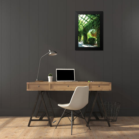 Ivy I Black Modern Wood Framed Art Print by Hausenflock, Alan