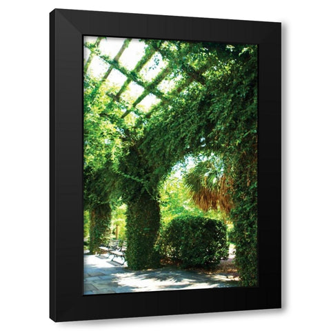 Ivy I Black Modern Wood Framed Art Print with Double Matting by Hausenflock, Alan