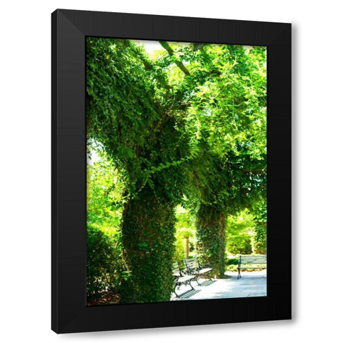 Ivy II Black Modern Wood Framed Art Print with Double Matting by Hausenflock, Alan