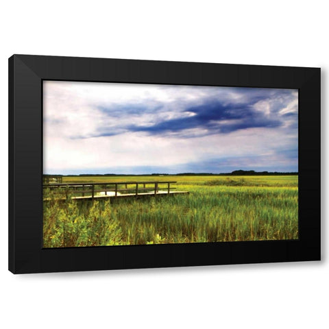 Marshland Storm I Black Modern Wood Framed Art Print with Double Matting by Hausenflock, Alan