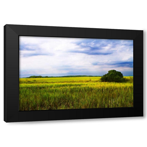 Marshland Storm II Black Modern Wood Framed Art Print with Double Matting by Hausenflock, Alan