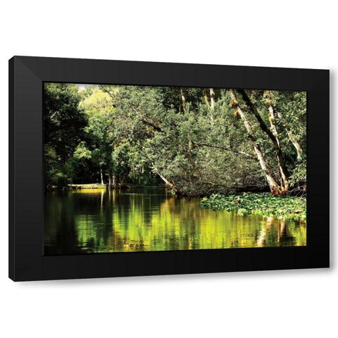 Silver River I Black Modern Wood Framed Art Print with Double Matting by Hausenflock, Alan