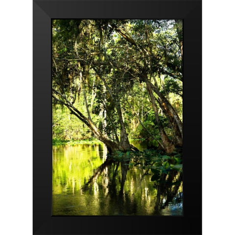 Winding River II Black Modern Wood Framed Art Print by Hausenflock, Alan