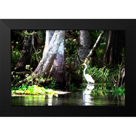 Stalking Egret Black Modern Wood Framed Art Print by Hausenflock, Alan