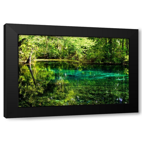 Clear Spring Waters I Black Modern Wood Framed Art Print by Hausenflock, Alan